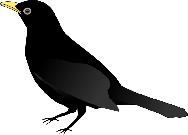 Blackbird Clipart