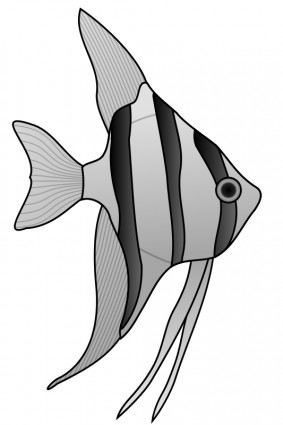Angelfish Vector clip art - Free vector for free download