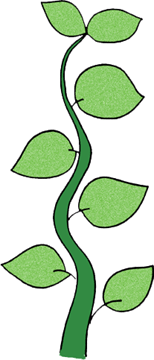 Jack And The Beanstalk Clipart - ClipArt Best