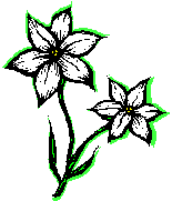 MCNA00031_0000[1].gif