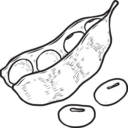Drawing Of A Dry Beans Clip Art, Vector Images & Illustrations ...