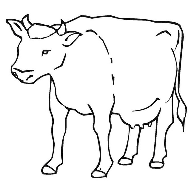 Cow Template Printable - ClipArt Best