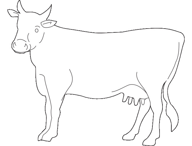 Cow Template - Animal Templates | Free & Premium Templates