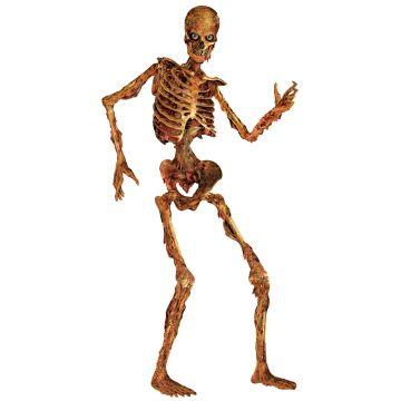 Jointed Scary Skeleton - - 1664144