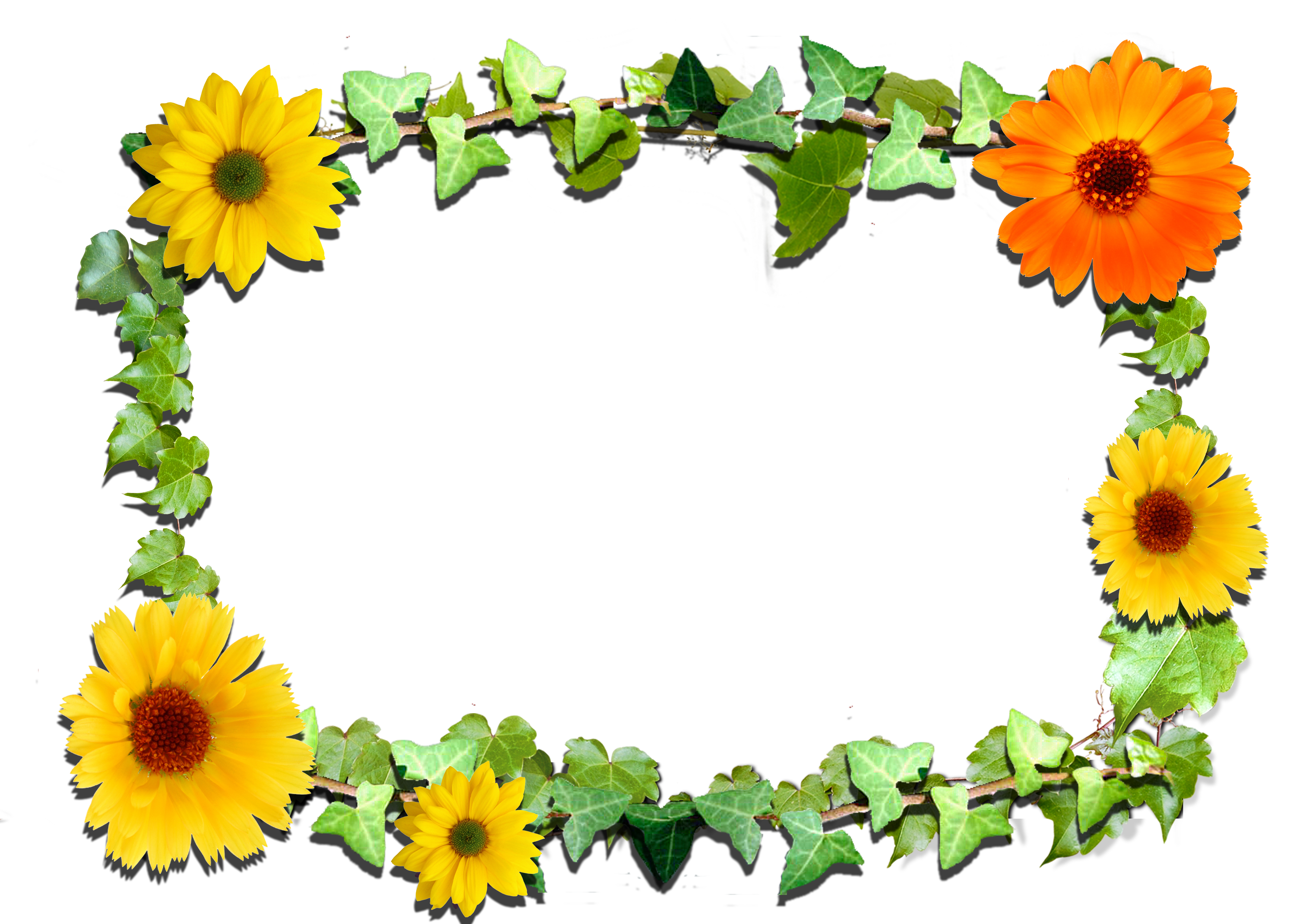 frame gallery flower frame and spring flowers on pinterest ...
