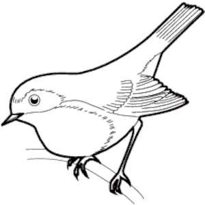 Sparrow 05 clipart, cliparts of Sparrow 05 free download (wmf, eps ...