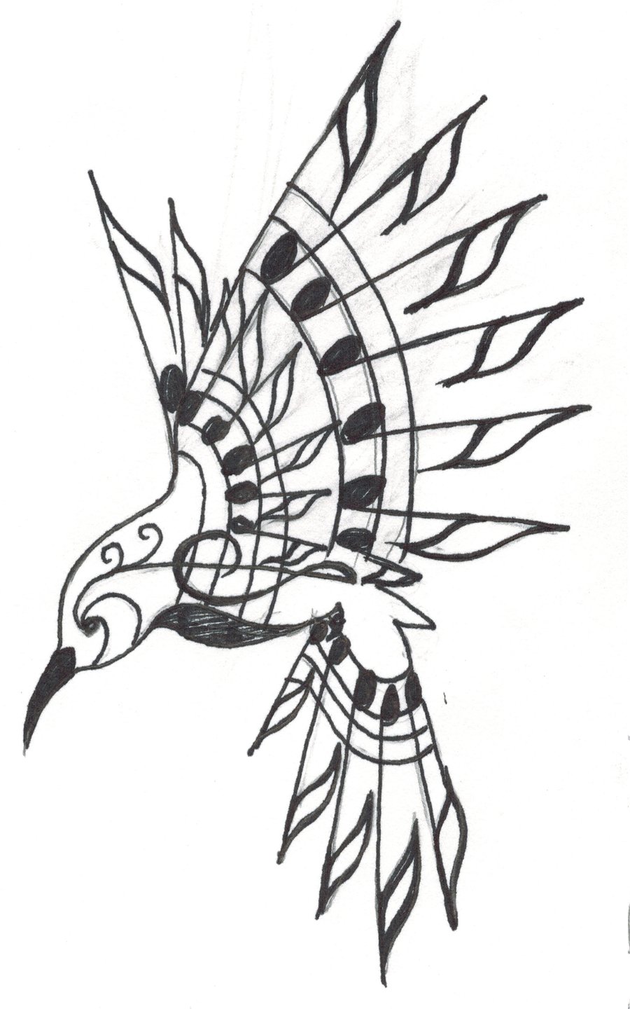 abstract hummingbird drawings