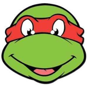 TMNT Party