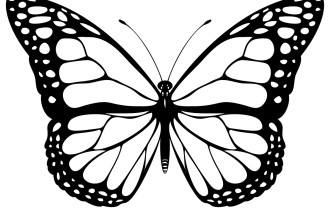 Monarch Butterfly Vector : 10 Monarch Butterfly Clip Art ...