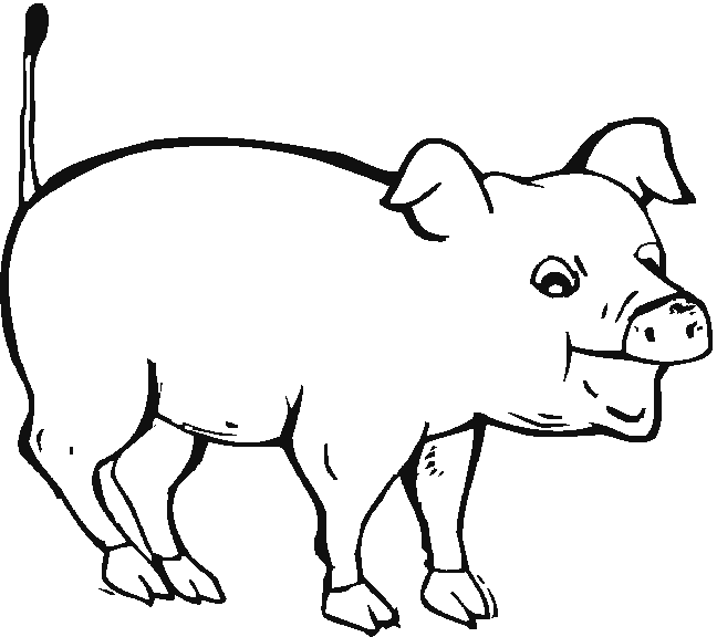 Pigs to Draw | Free coloring pages, free printable coloring pages ...