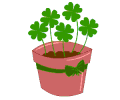 Four Leaf Clover GIFs - Find & Share on GIPHY