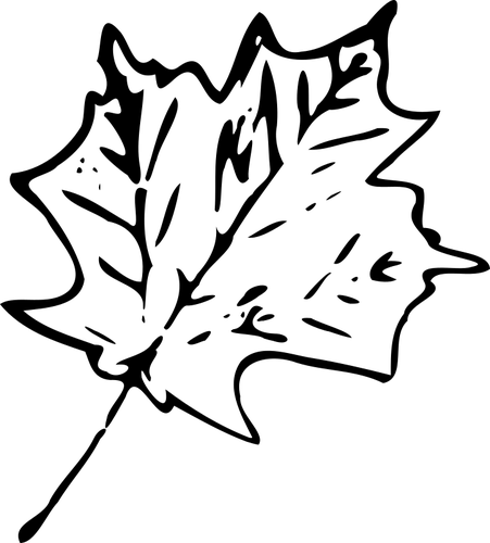Monokrom maple daun | Domain publik vektor