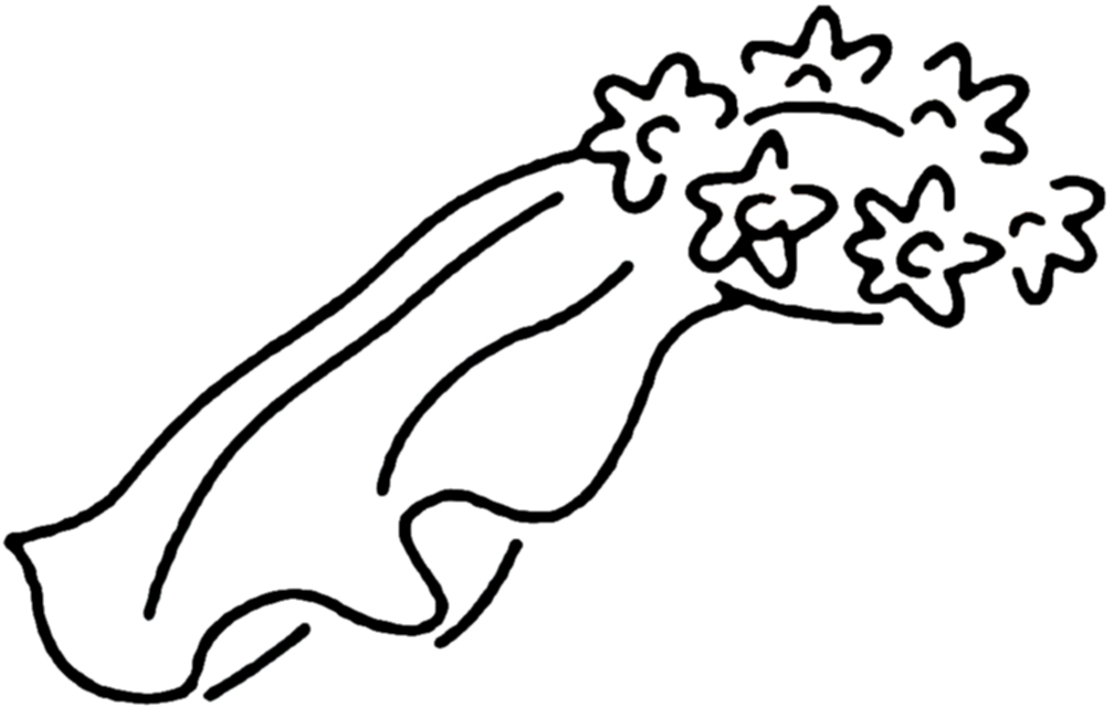 Wedding Veil Clipart - Tumundografico