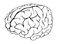 brain_drawing_thumb