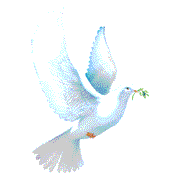Flying Dove