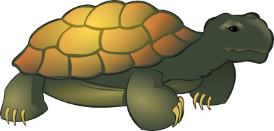 Tortoise Clipart - Free Clipart Images