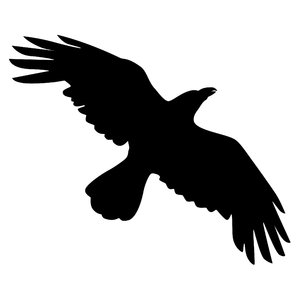 Crow Flying Drawing - ClipArt Best