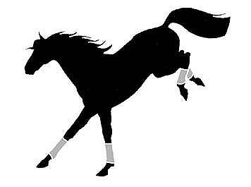 Window Sticker Bucking Horse - Quarter Horse Outfitters