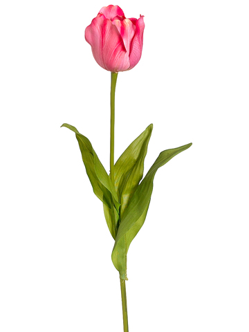 Vibrant Tulips (10 Stalks) - Ribbon Hand-tied