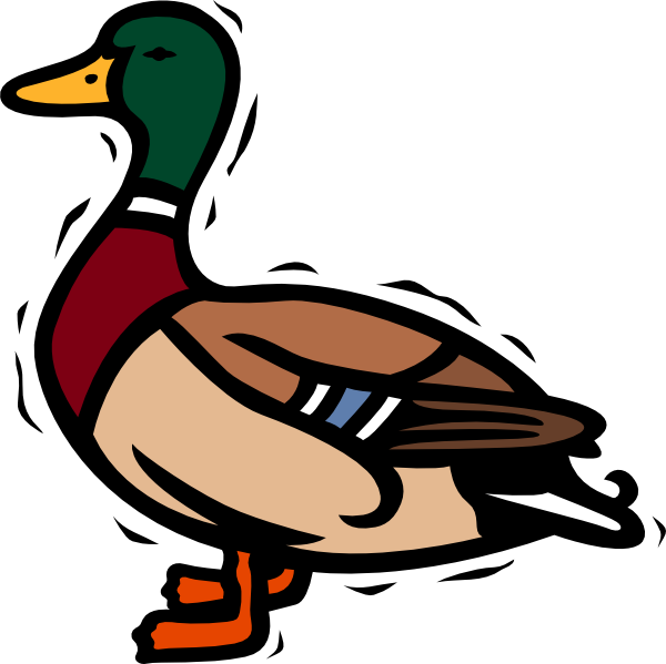 Duck Clip Art