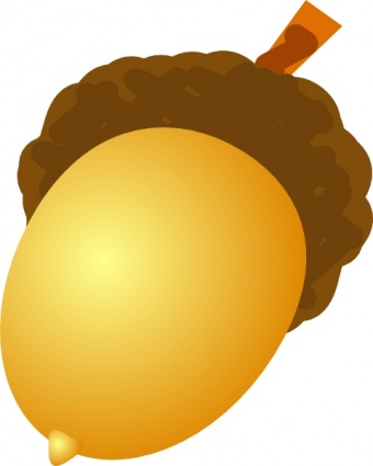 Fruit Acorn Plant vector, free vectors