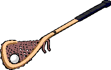Lacrosse_Stick.GIF
