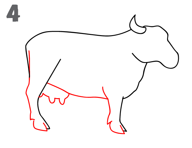 How To Draw a Cow - Step-by-Step