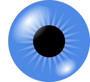 Blue Eye Clip Art Vector Free For Download