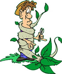 The Dirt on Noxious Weeds | The Perennial Post