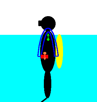 Buoyancy Compensators at DEEP SOUTH DIVERS