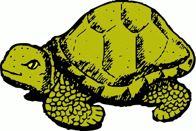 Animated Pictures Of Turtles