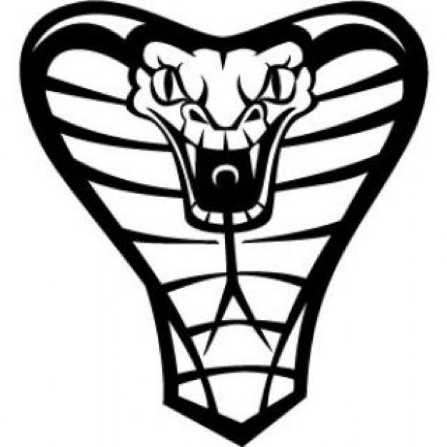 cobra snake vector | Download free Photos