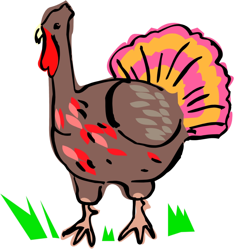 Cartoon Turkey