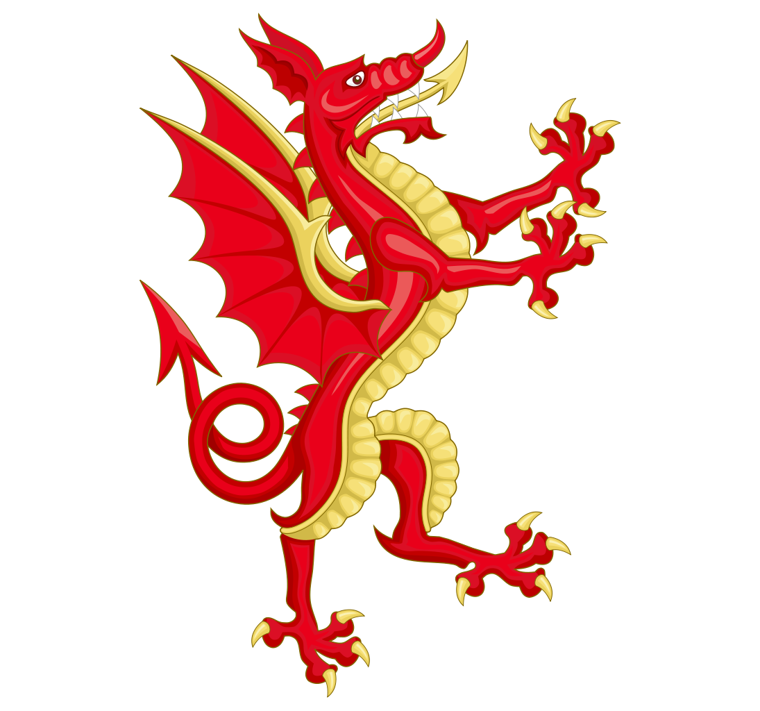 Flankers php & Fusion Zone - Photo Albums: welsh dragon
