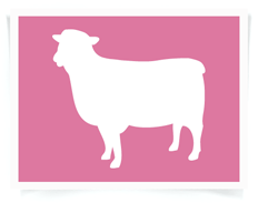 Leap Sheep Baby Wear ~~ Hip onesies and shirts for your little bugger!