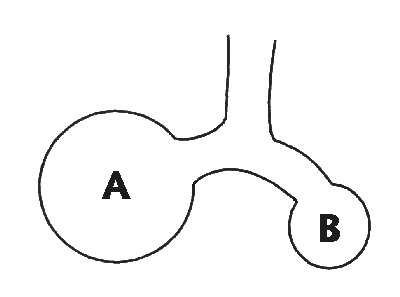 Lung function fundamentals