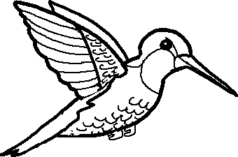 Hummingbird Drawings - ClipArt Best