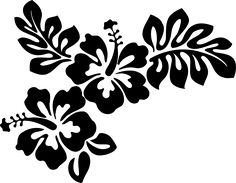 Hibiscus, Wreaths and Art