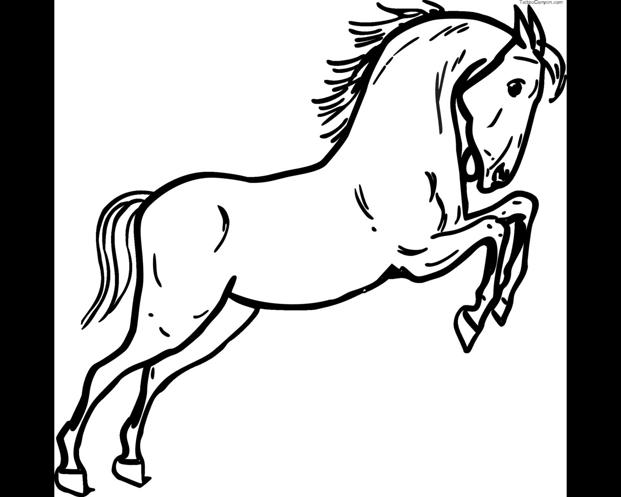 Info Jumping Horse Outline Black White Line Art Tatoo Tattoo Svg ...