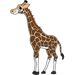 How to Draw a Giraffe