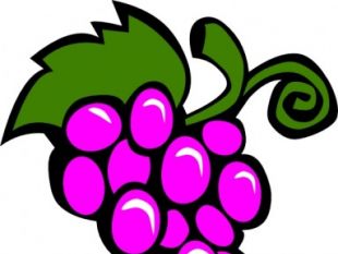 99 free grapes and vine graphics | tag | UI Download
