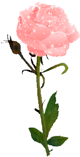 Gif_Paradise: ROSE GIFS