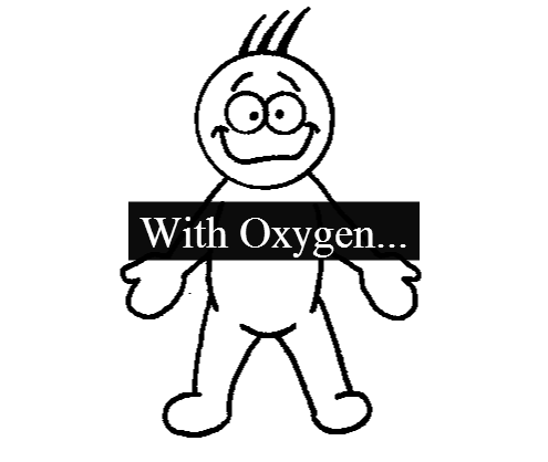 Cellular Respiration Clipart 41567 | UPSTORE