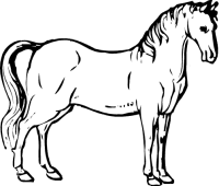 Horse Black Line Clipart