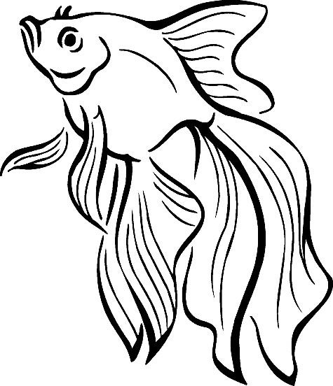 Coloring, Tropical fish and Tropical