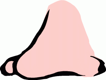 Human Nose Clipart Black And White - Free Clipart ...