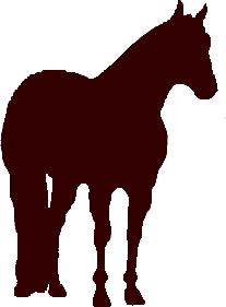 LaVergne Quarter Horses - Home of World Champion (and WC sire ...