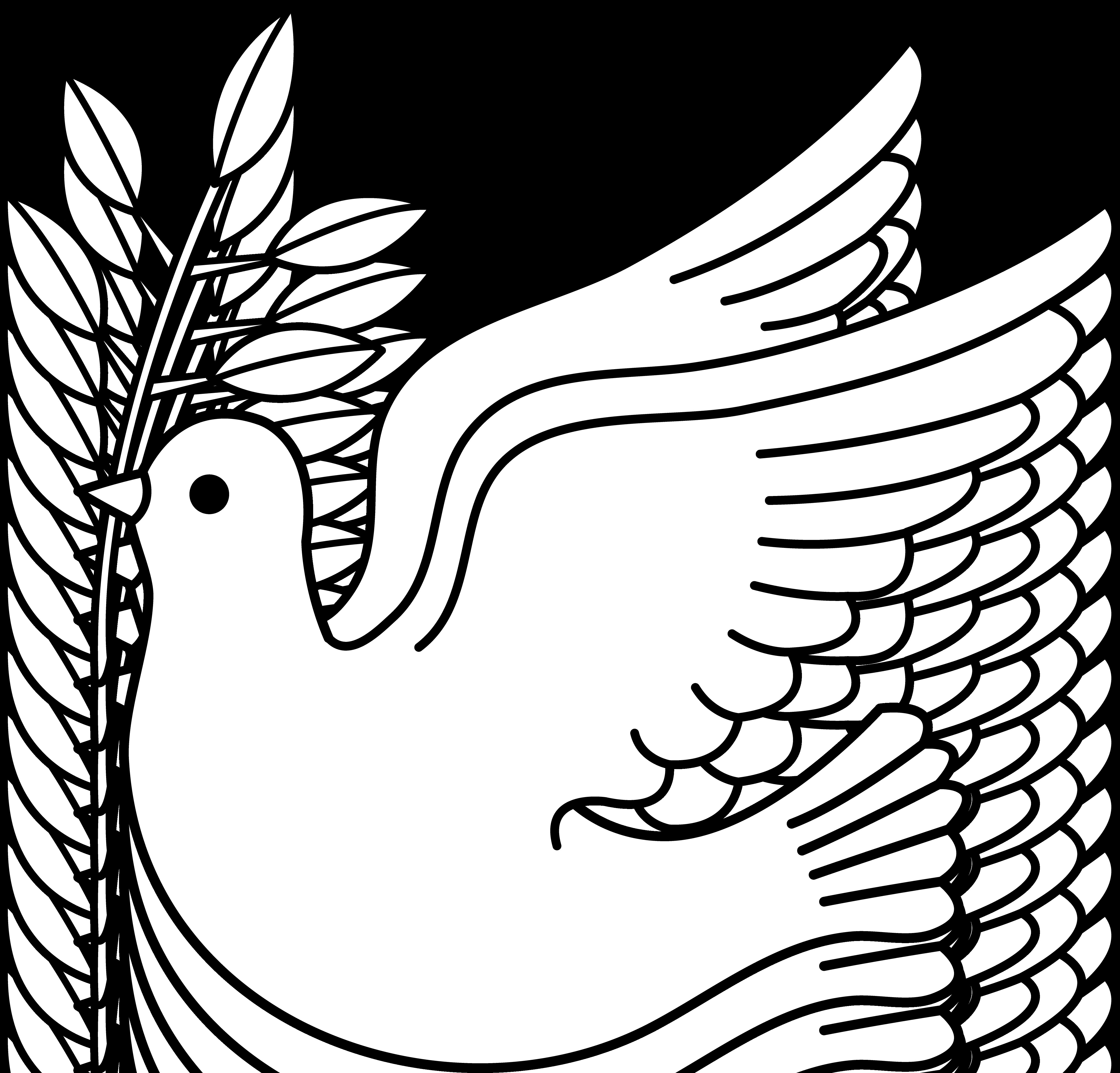 Christian Clip Art Dove HD Wallpaper Widescreens Resolution ...