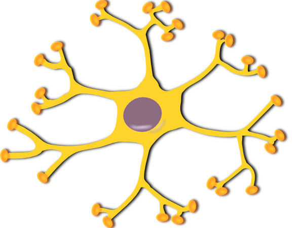 Neuron Drawing - ClipArt Best