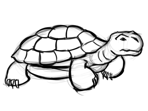 Tortoise Clip Art